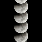 Must-see photo – Phases of the Moon (1 image)
